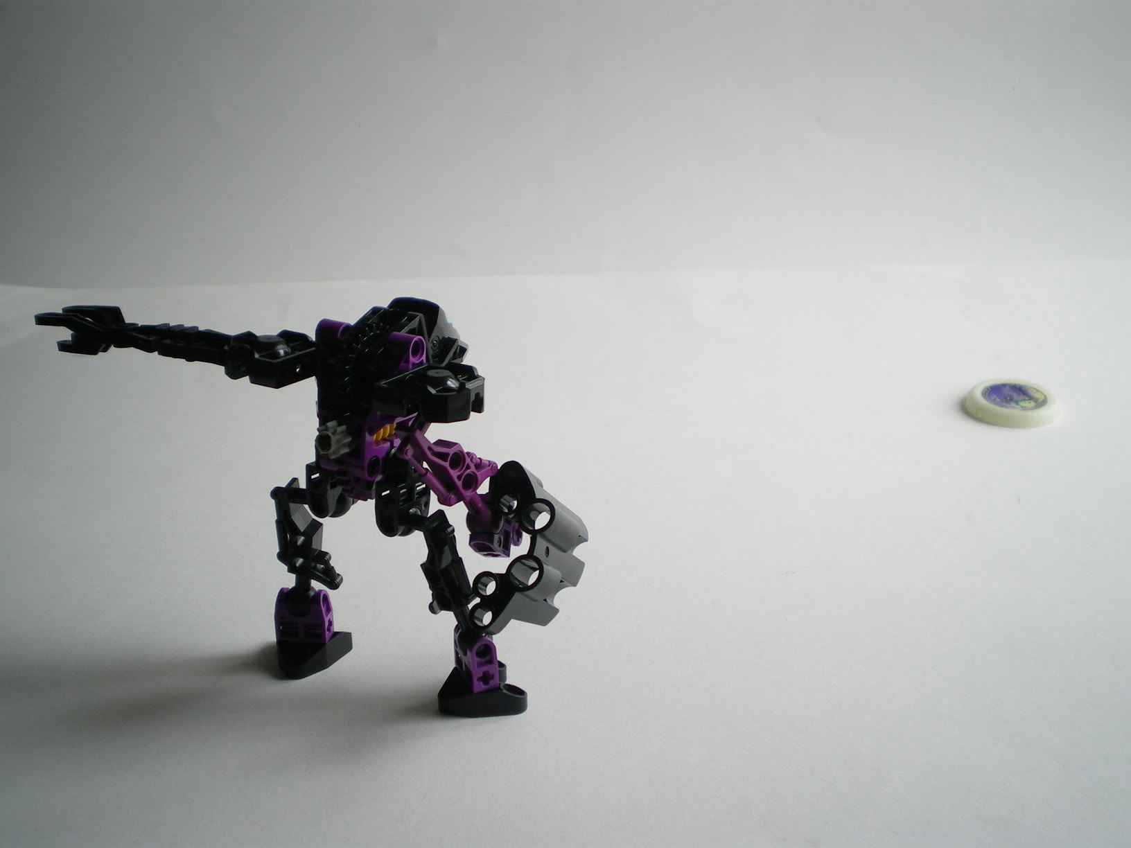 imgp0910.jpg