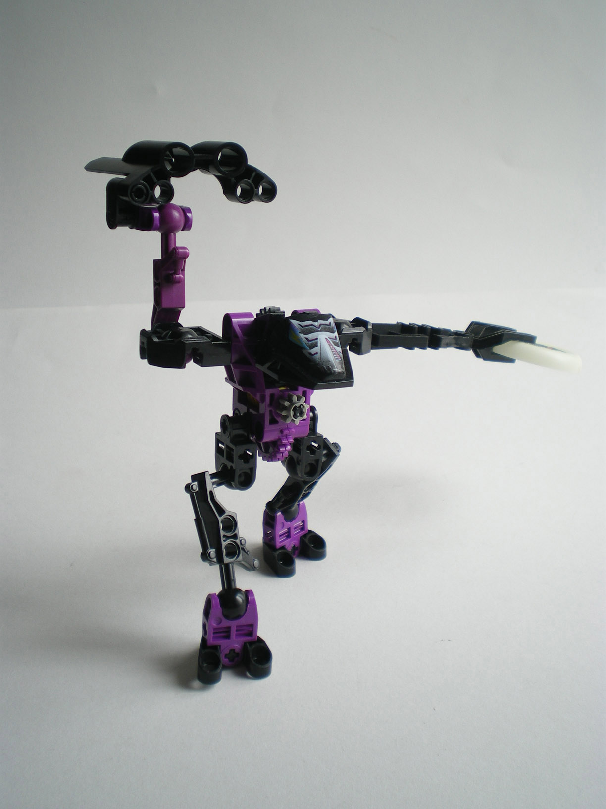 imgp0911.jpg
