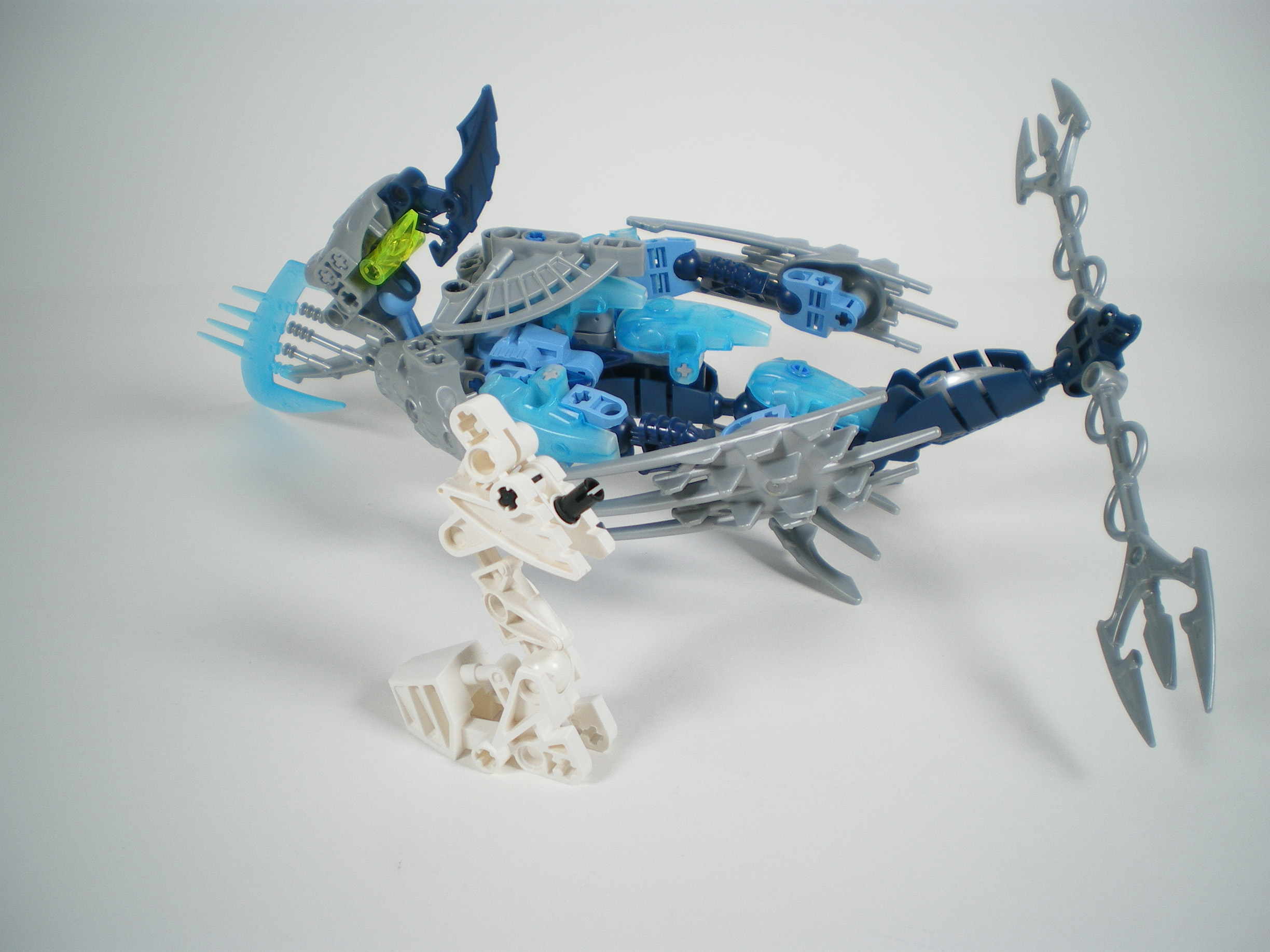 imgp1581.jpg