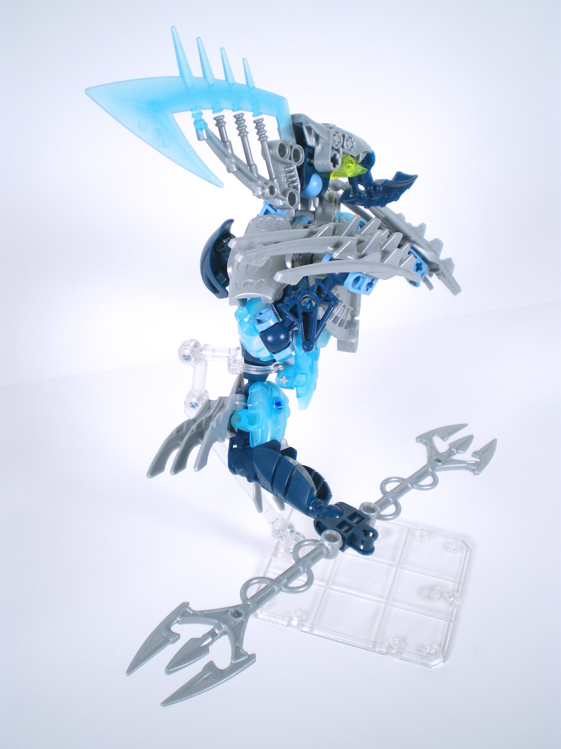 imgp0310.jpg