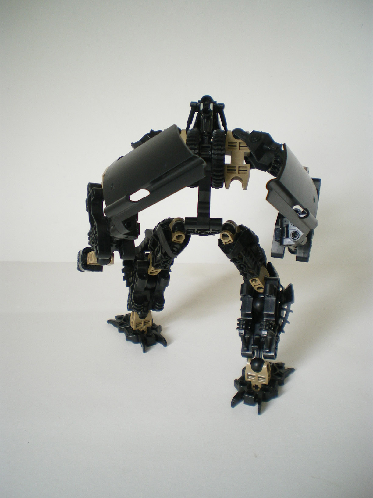 imgp6387.jpg