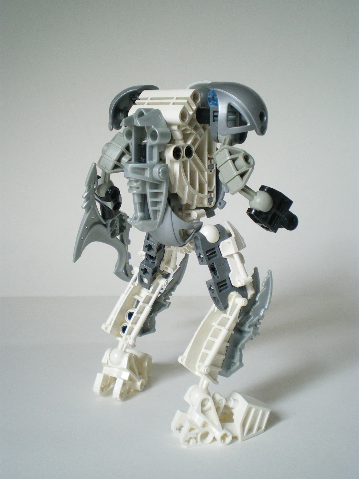 imgp6439.jpg