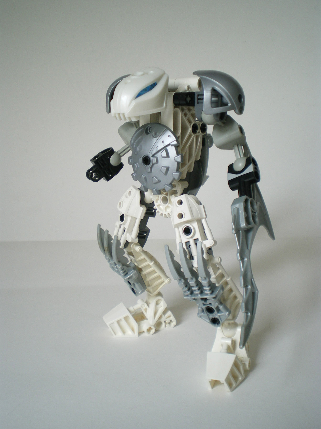 imgp6443.jpg
