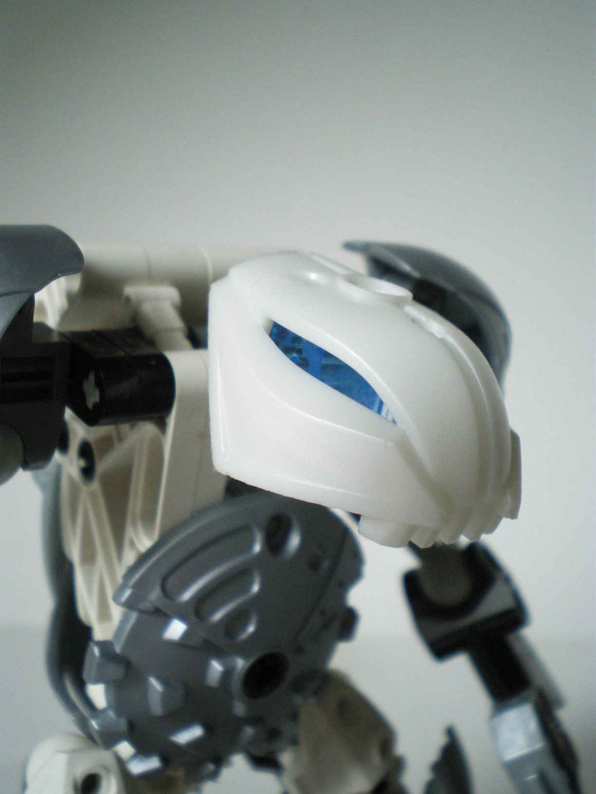imgp6454.jpg