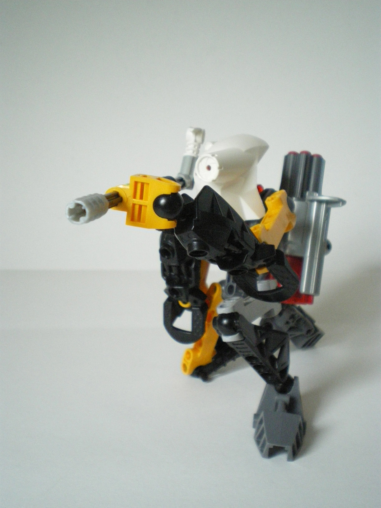 imgp6464.jpg