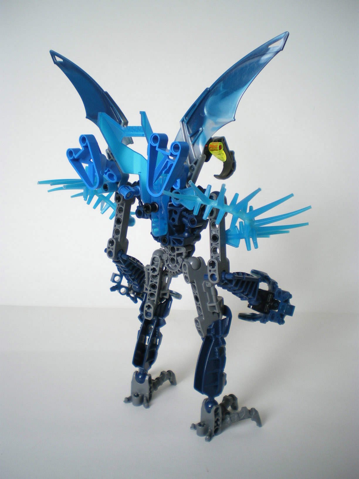 imgp6535.jpg