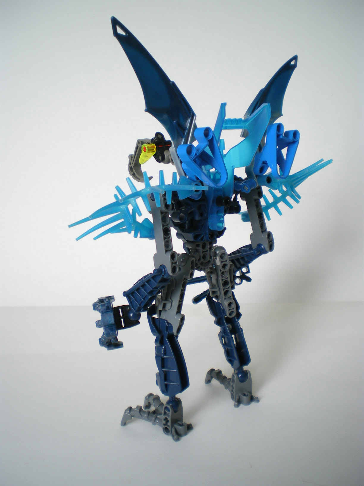imgp6537.jpg