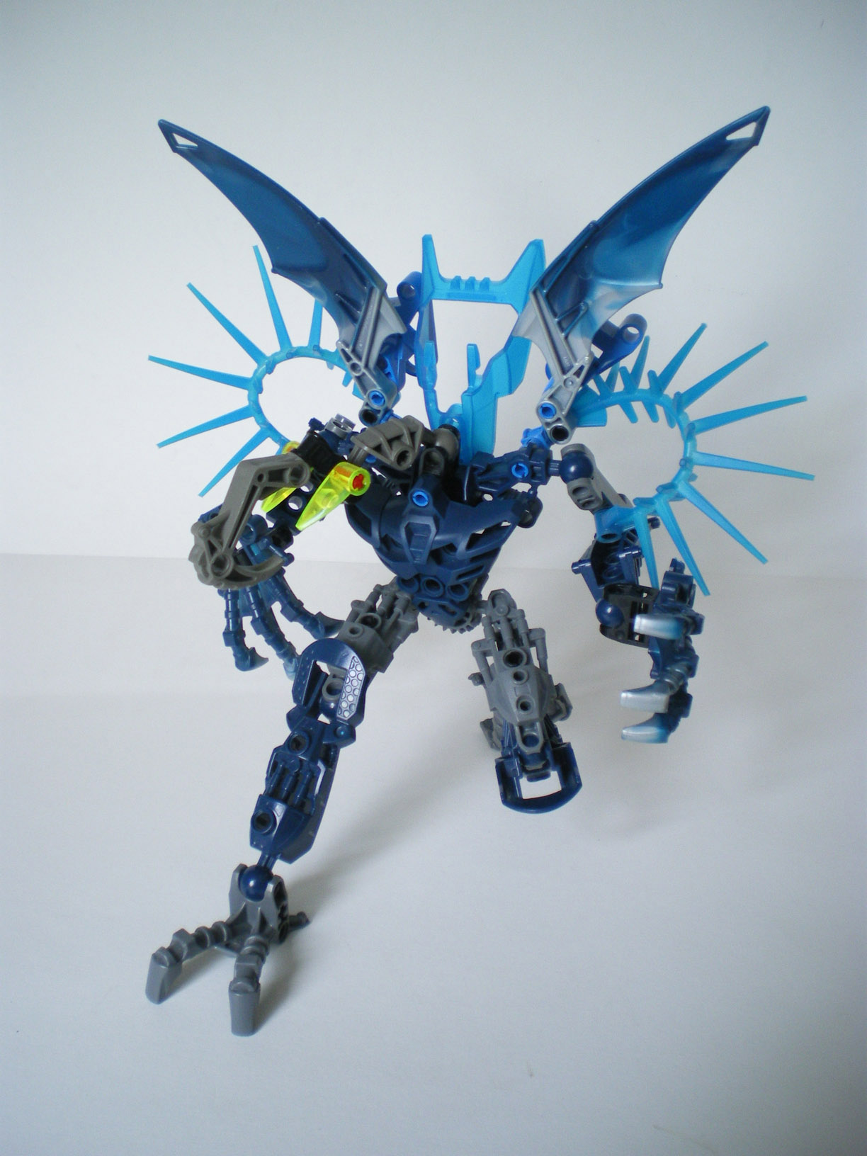 imgp6545.jpg