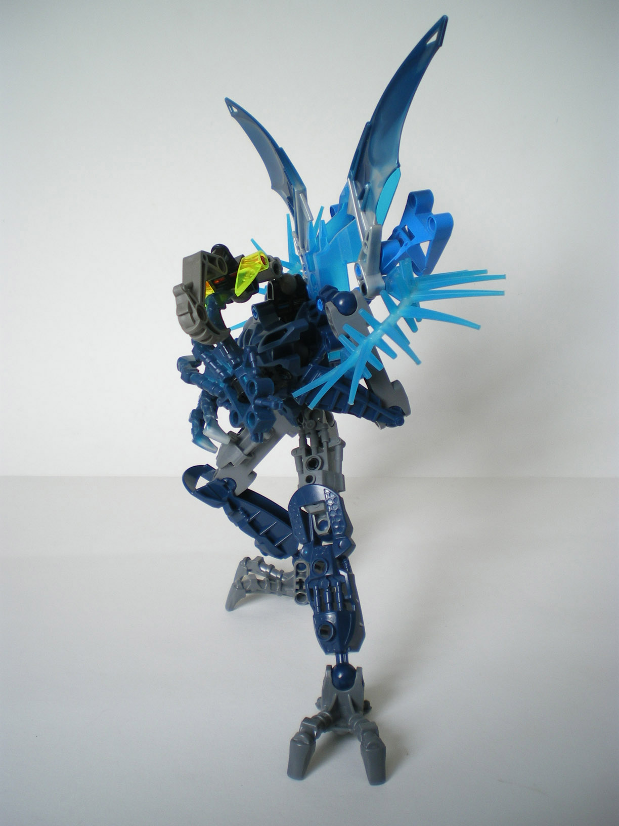 imgp6548.jpg