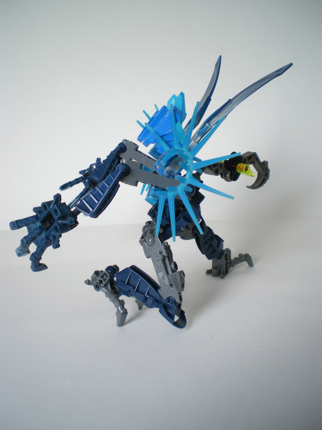imgp6551.jpg