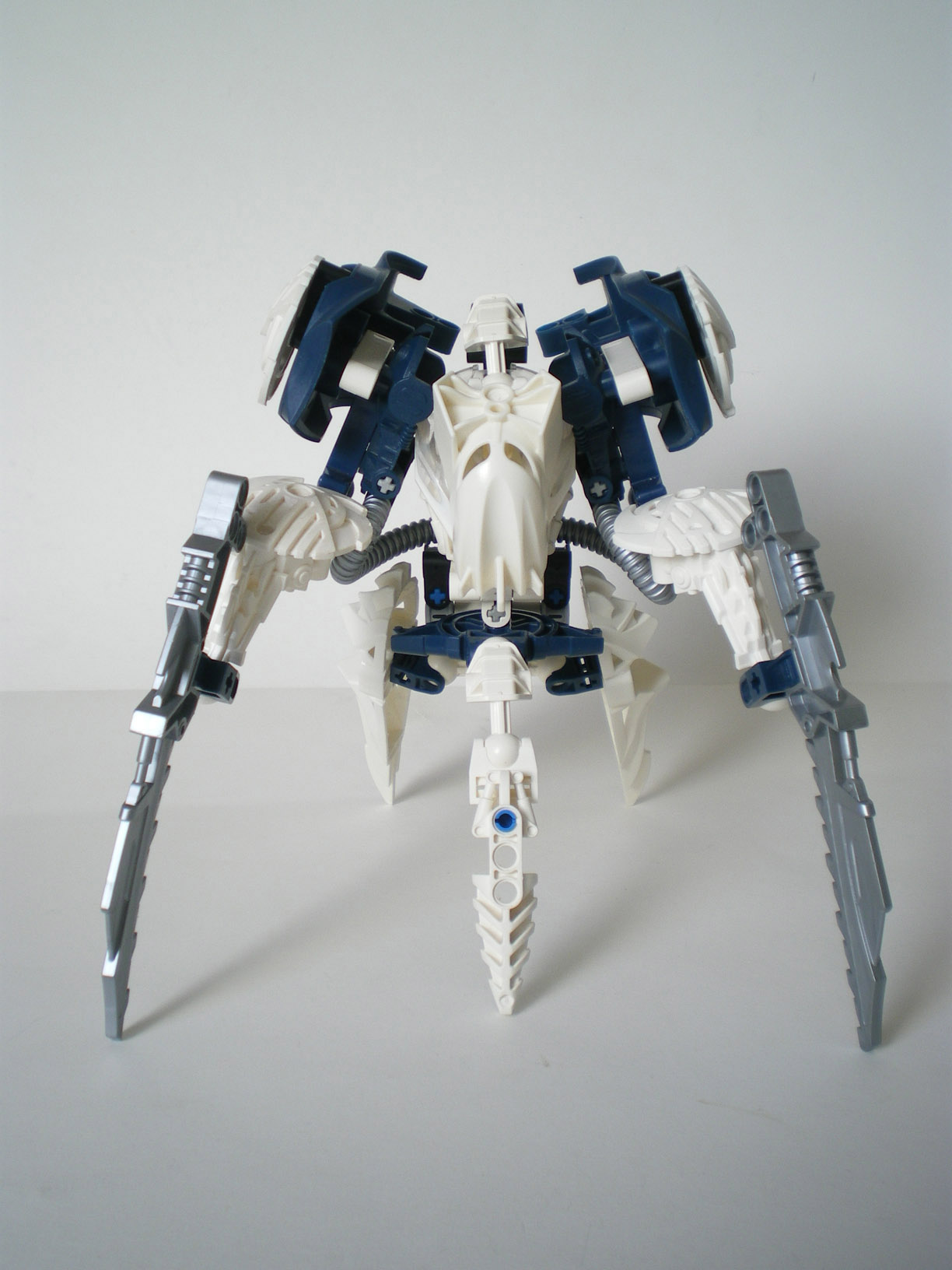 imgp6608.jpg