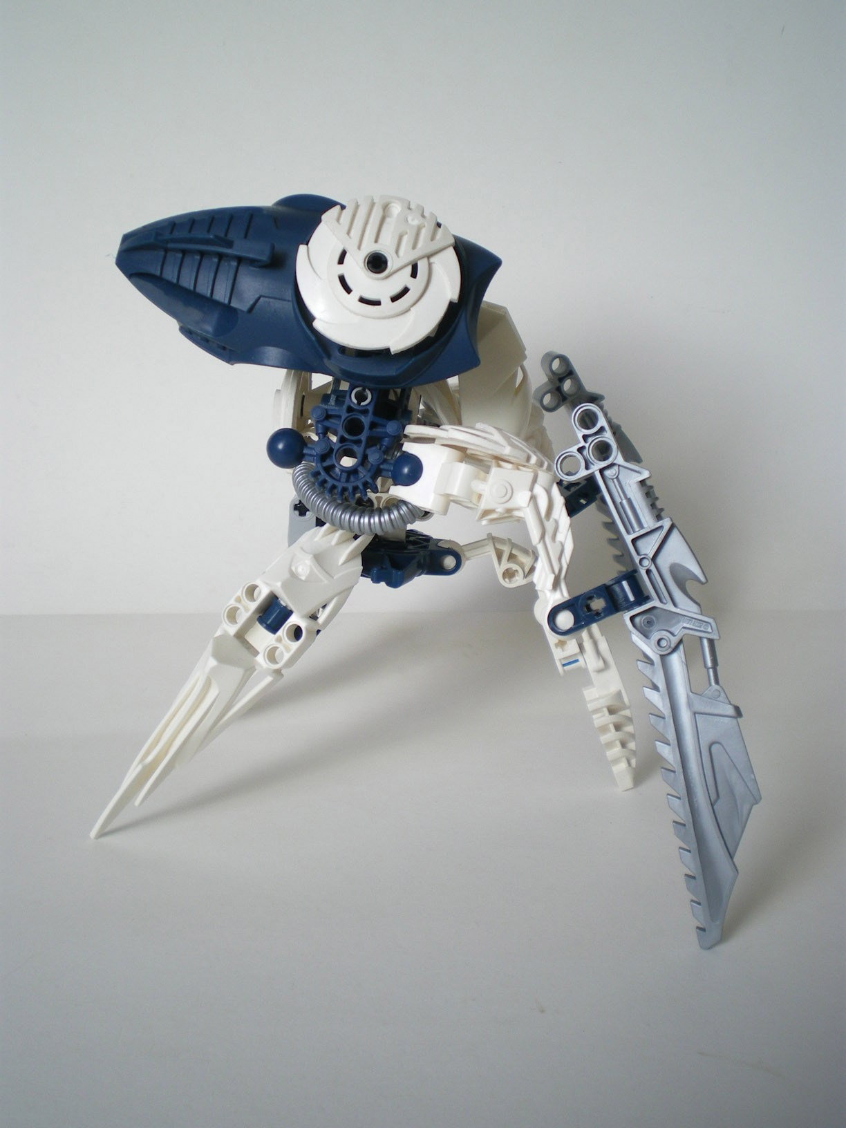 imgp6610.jpg