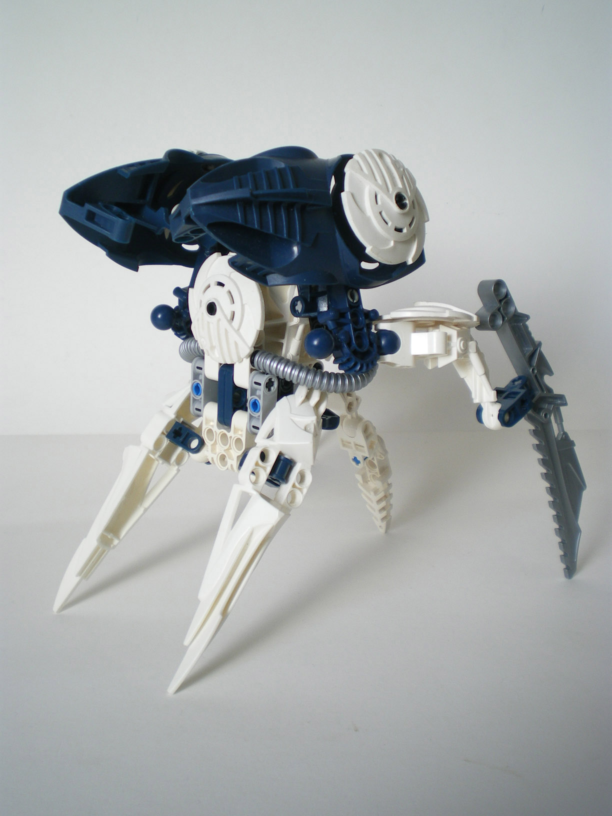 imgp6611.jpg