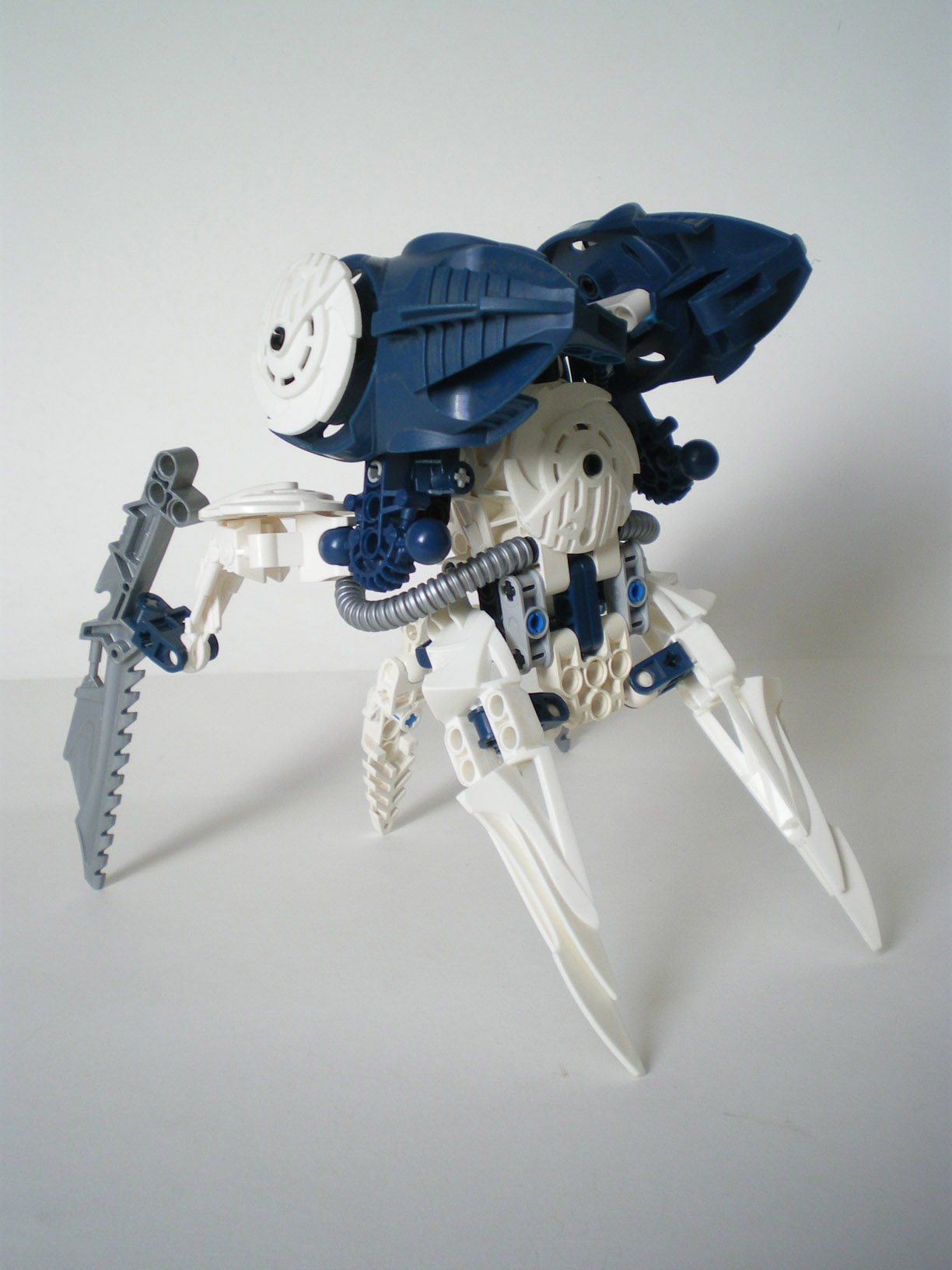 imgp6613.jpg