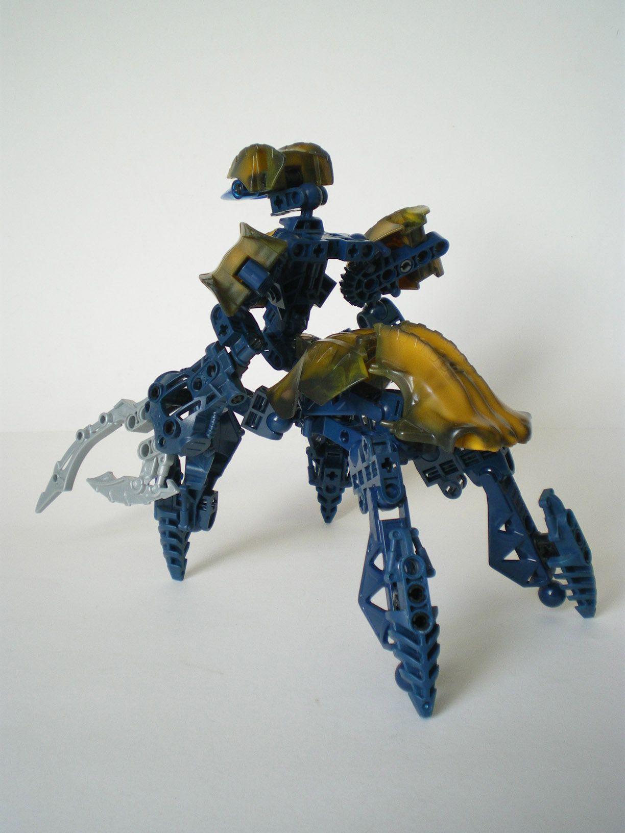 imgp6653.jpg