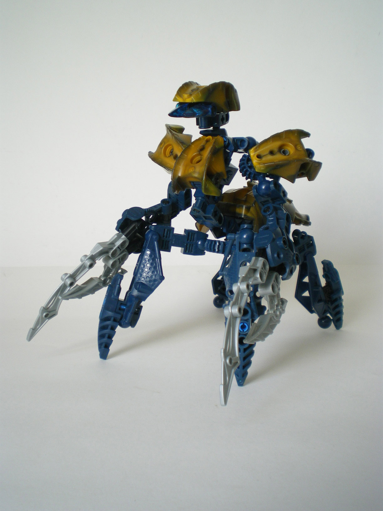 imgp6655.jpg