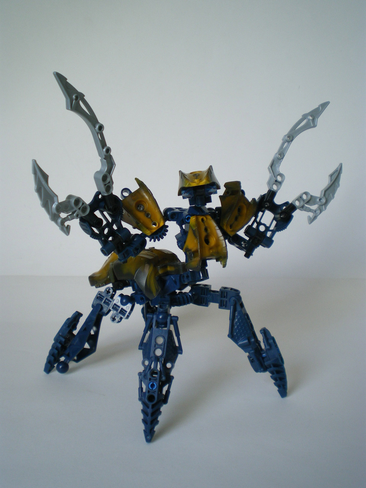 imgp6662.jpg