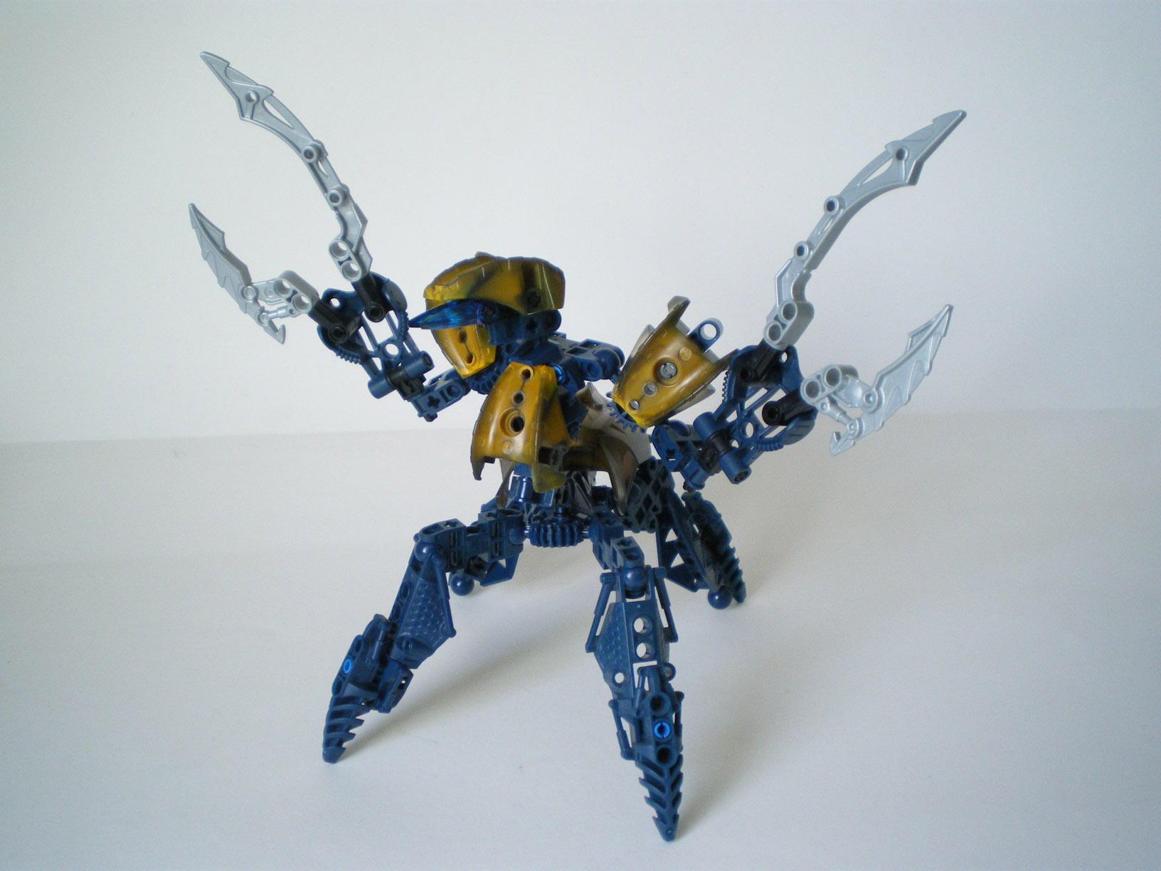 imgp6663.jpg