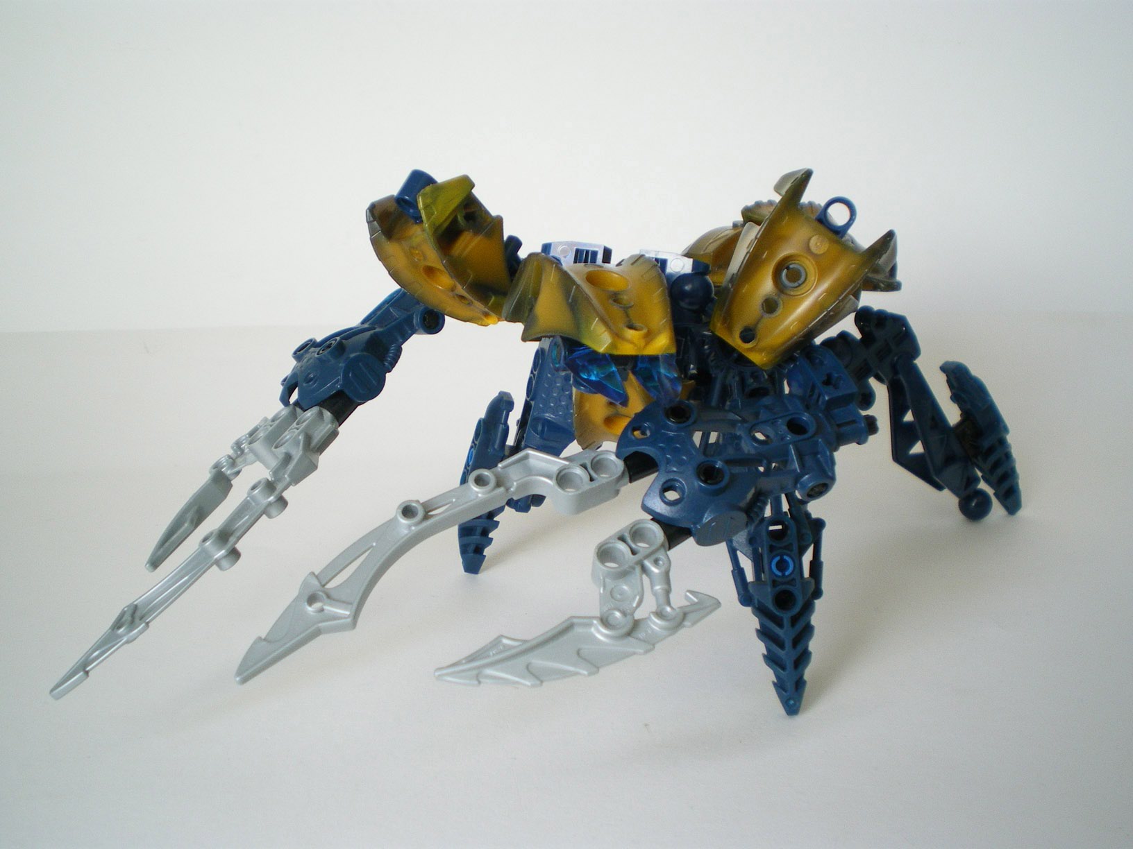 imgp6664.jpg
