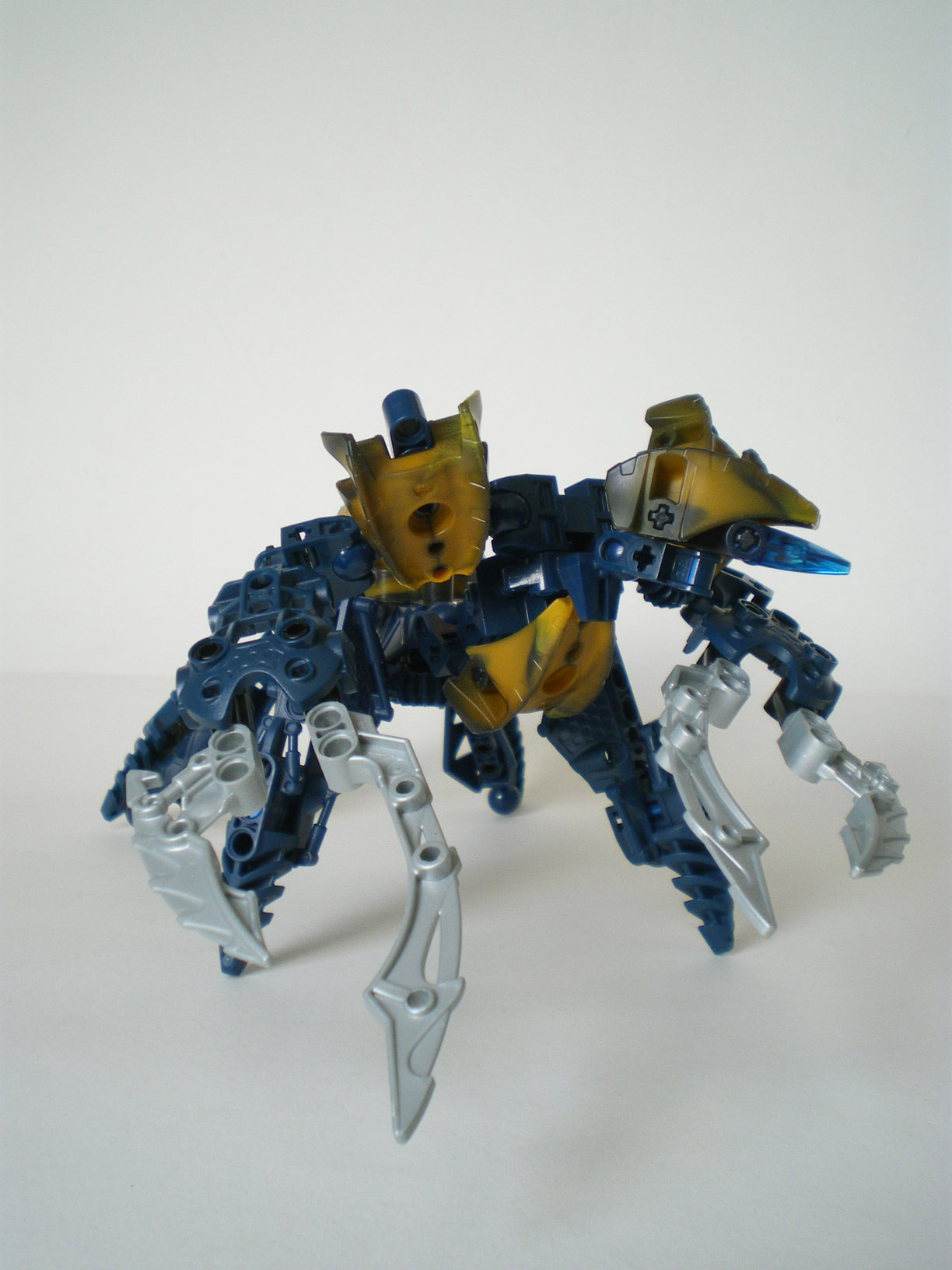 imgp6665.jpg