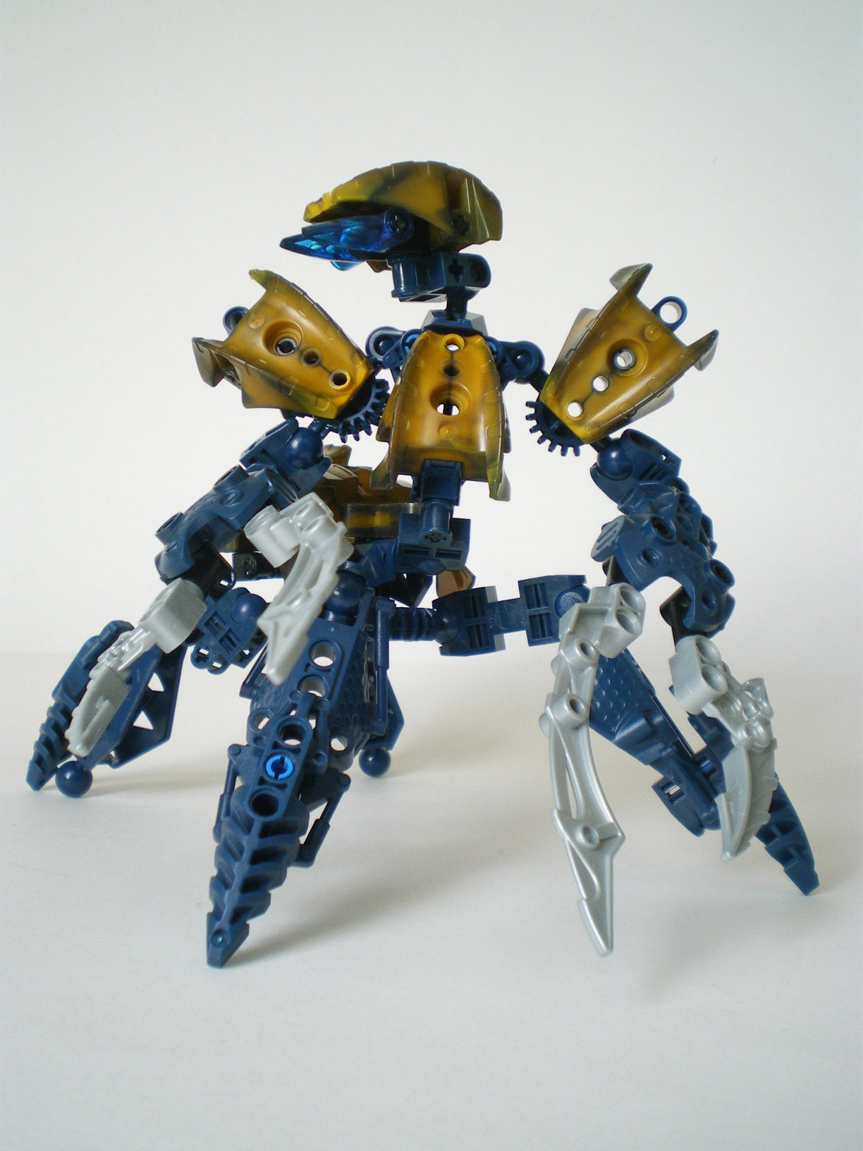 imgp6667.jpg