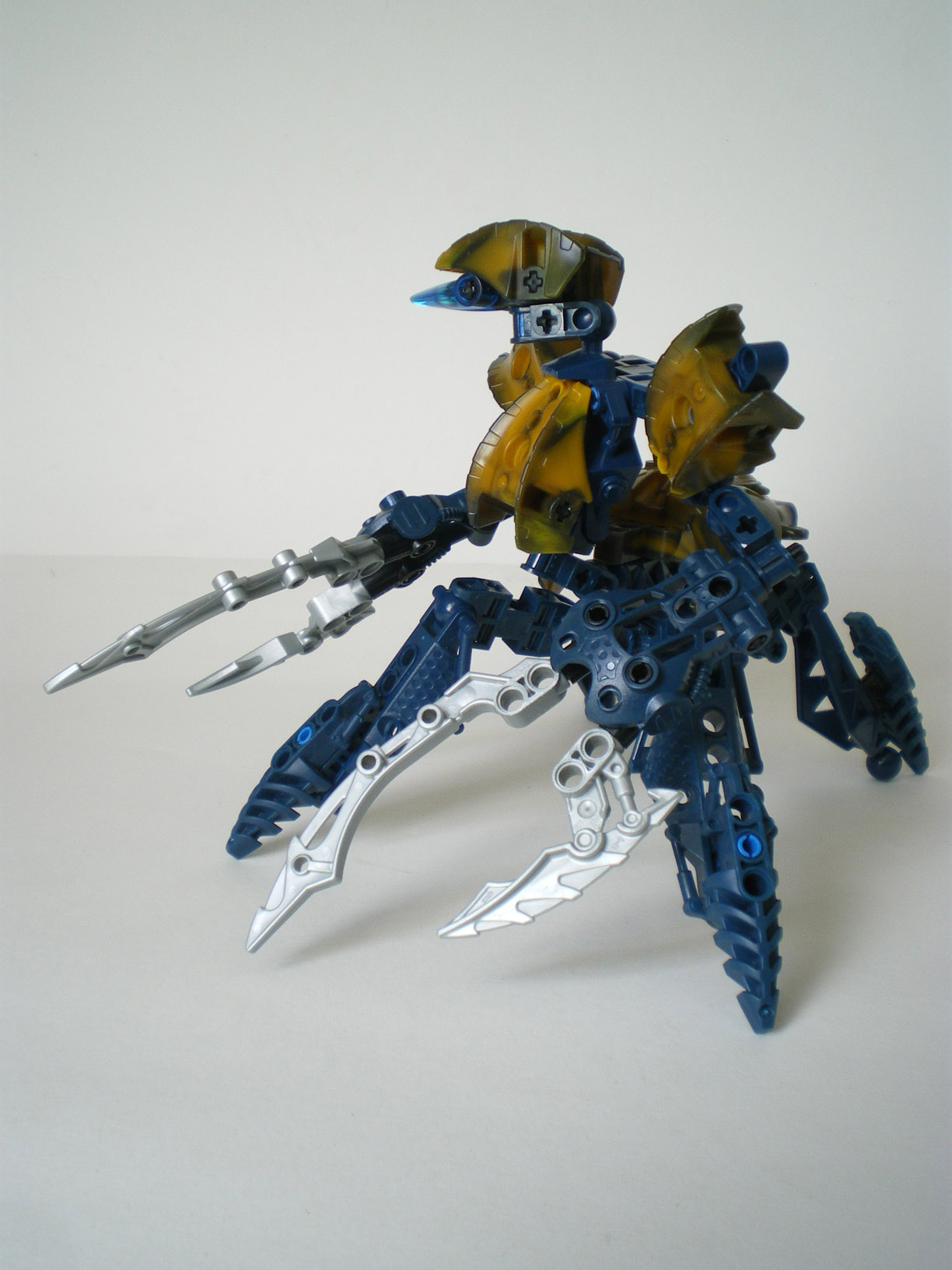 imgp6668.jpg