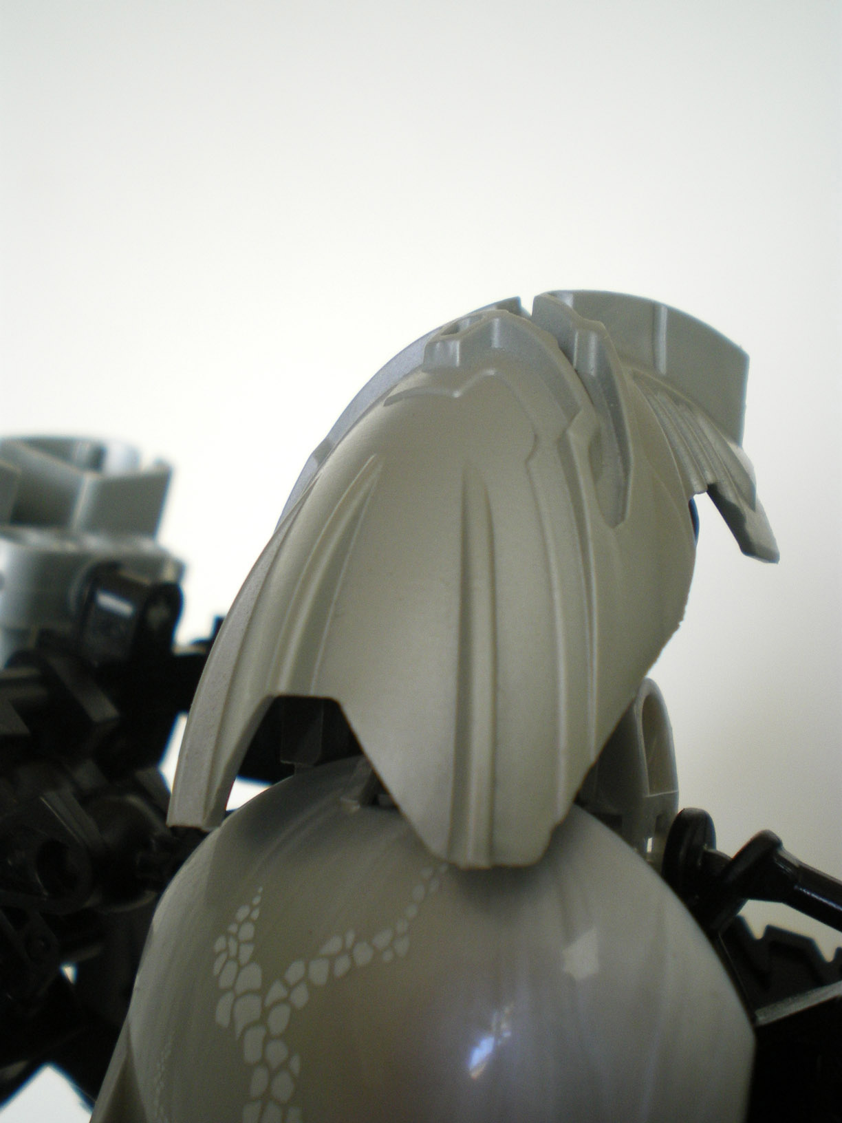 imgp6690.jpg