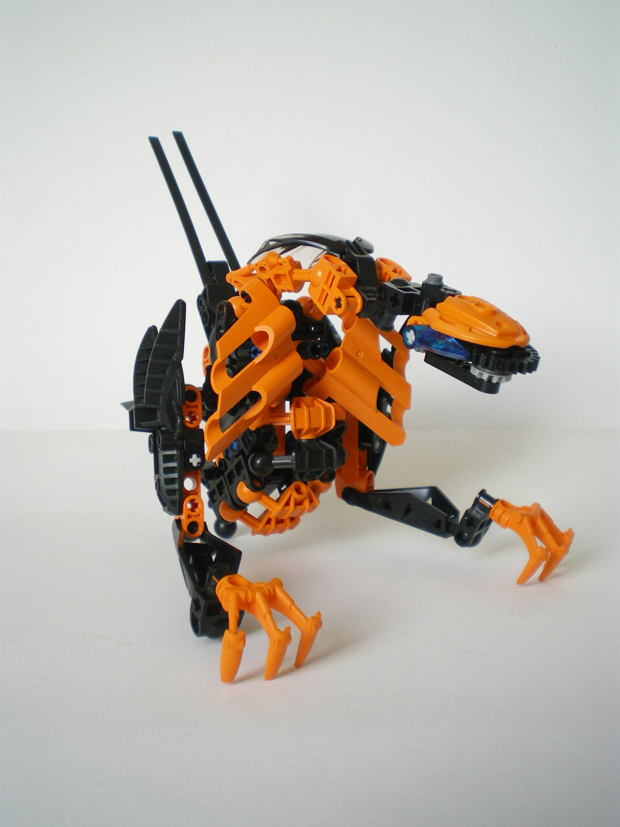 imgp6693.jpg