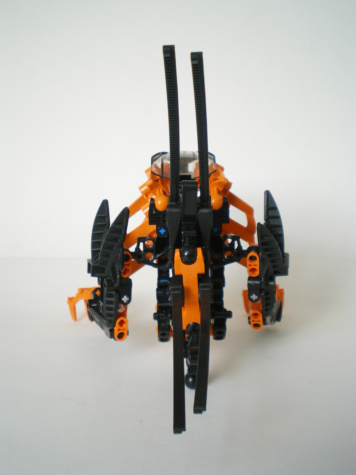imgp6696.jpg