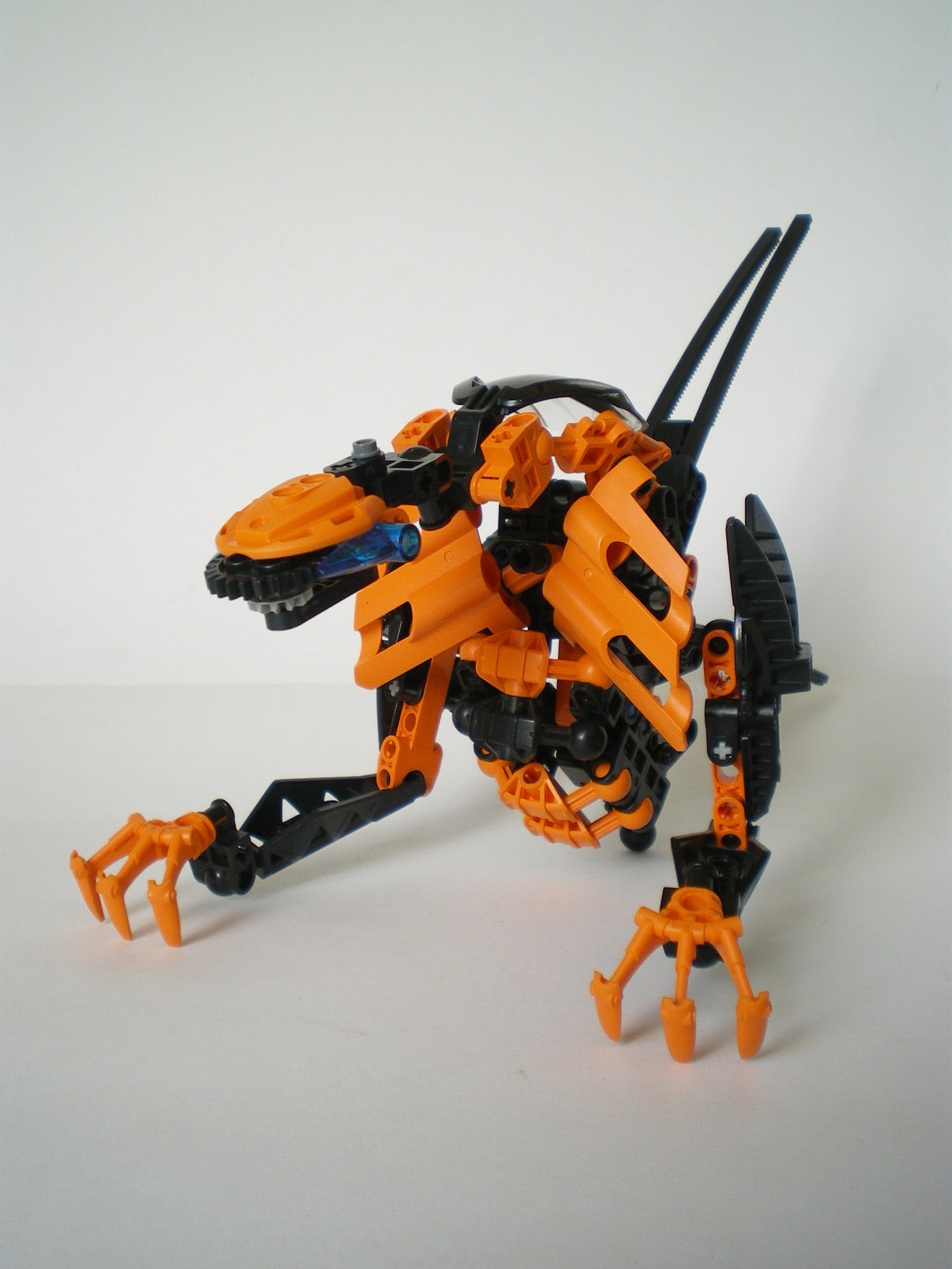 imgp6699.jpg