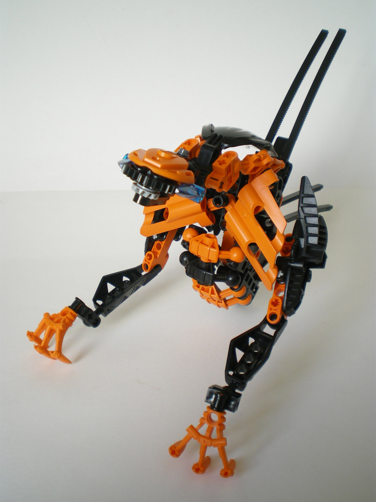 imgp6704.jpg