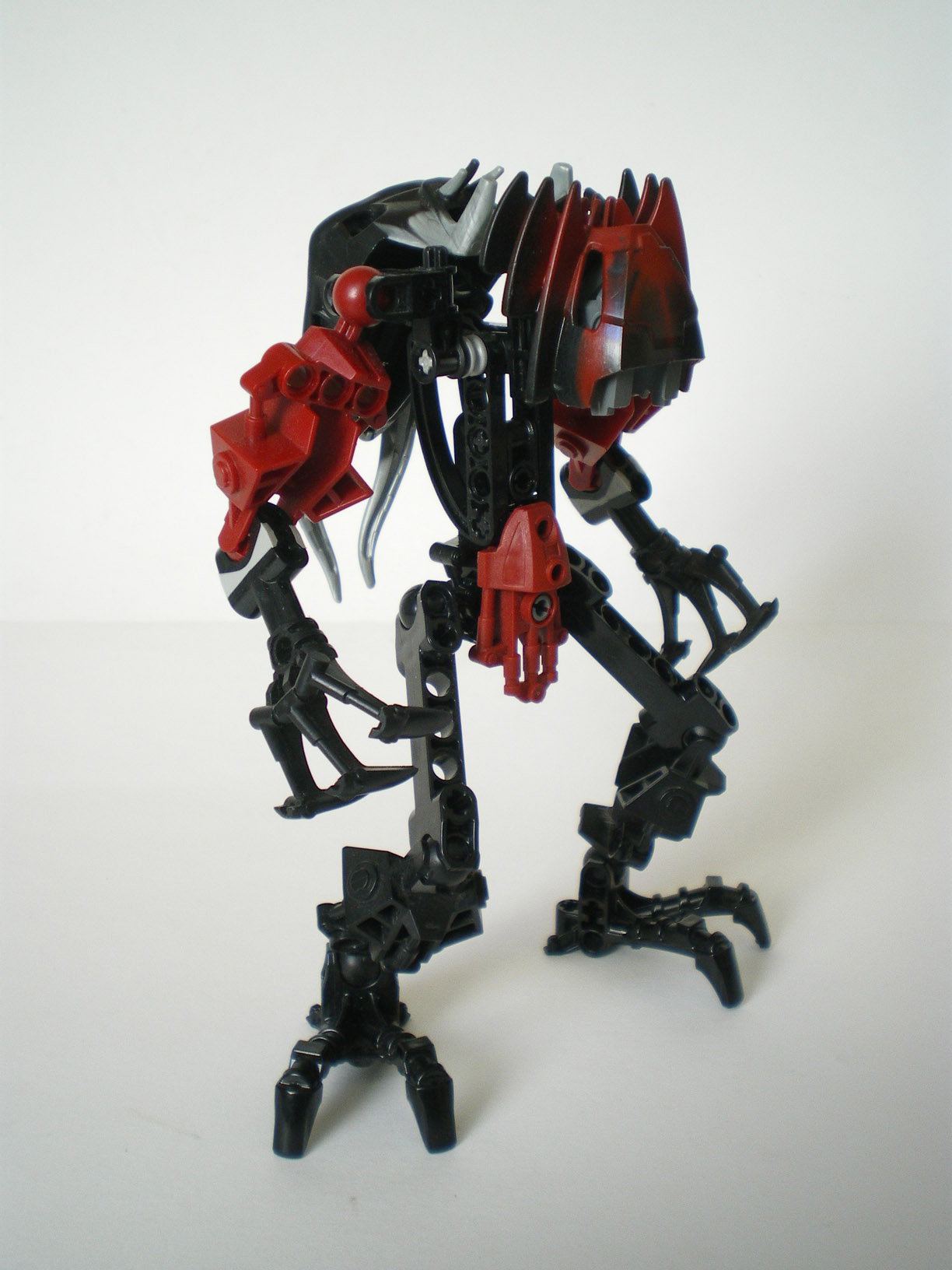 imgp6726.jpg