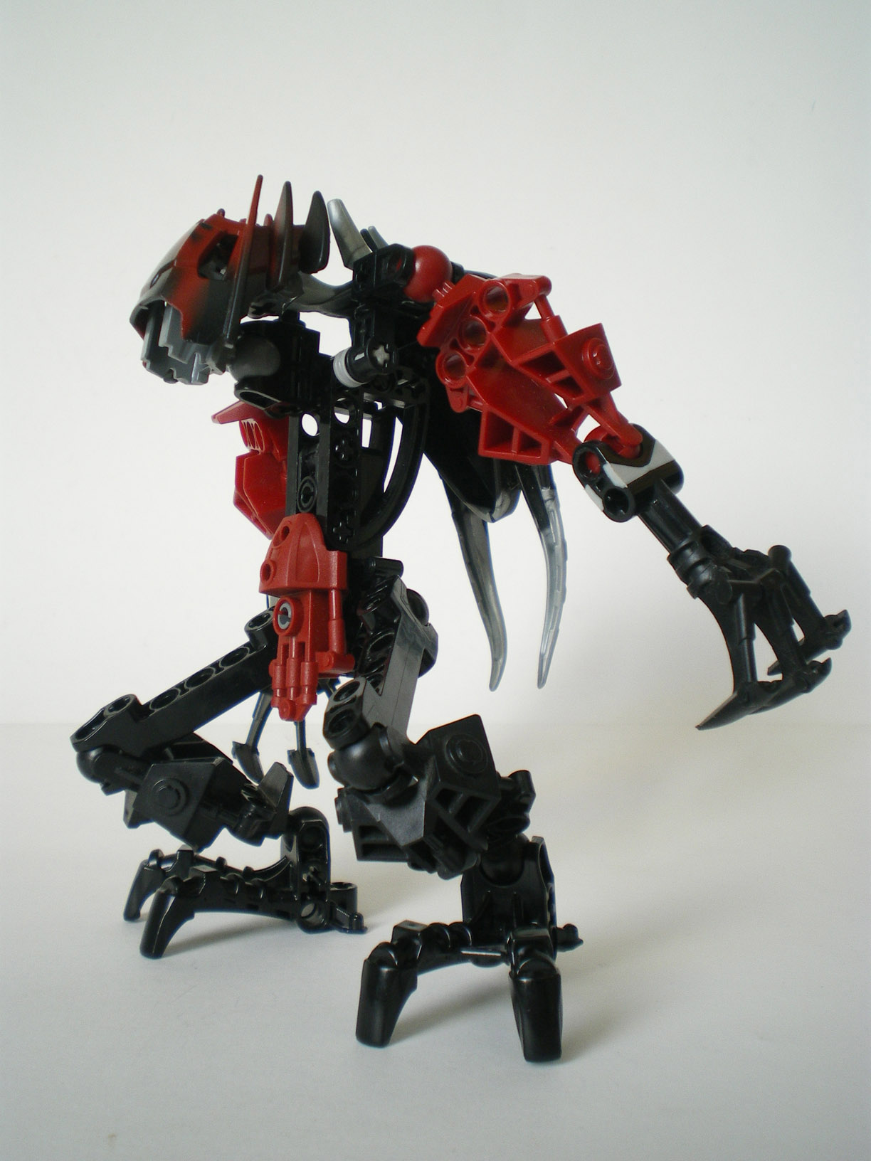 imgp6736.jpg