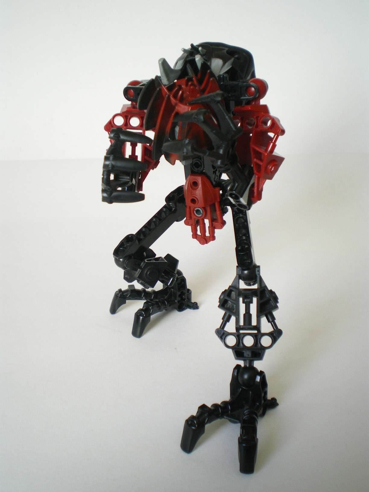 imgp6738.jpg