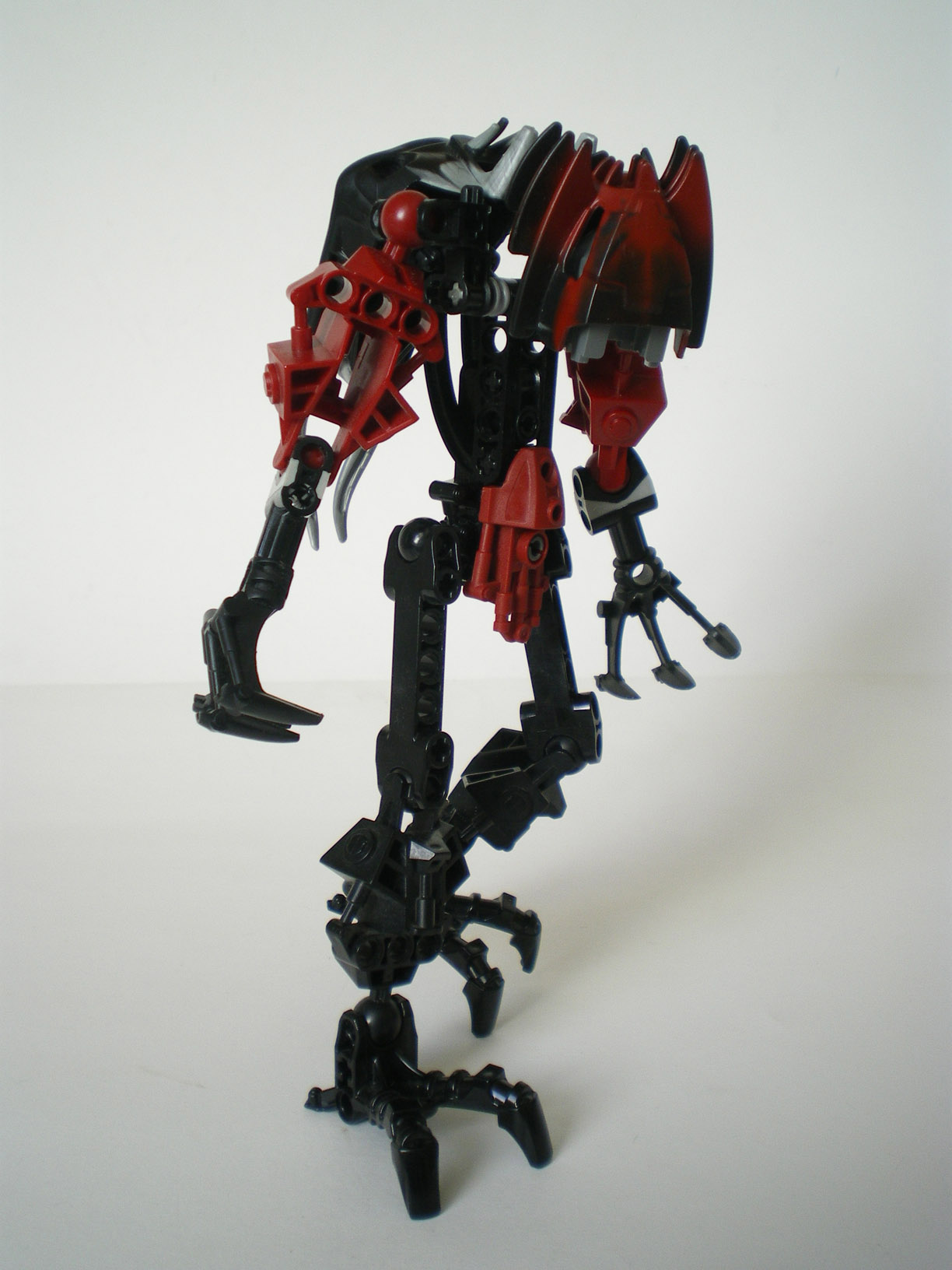 imgp6744.jpg