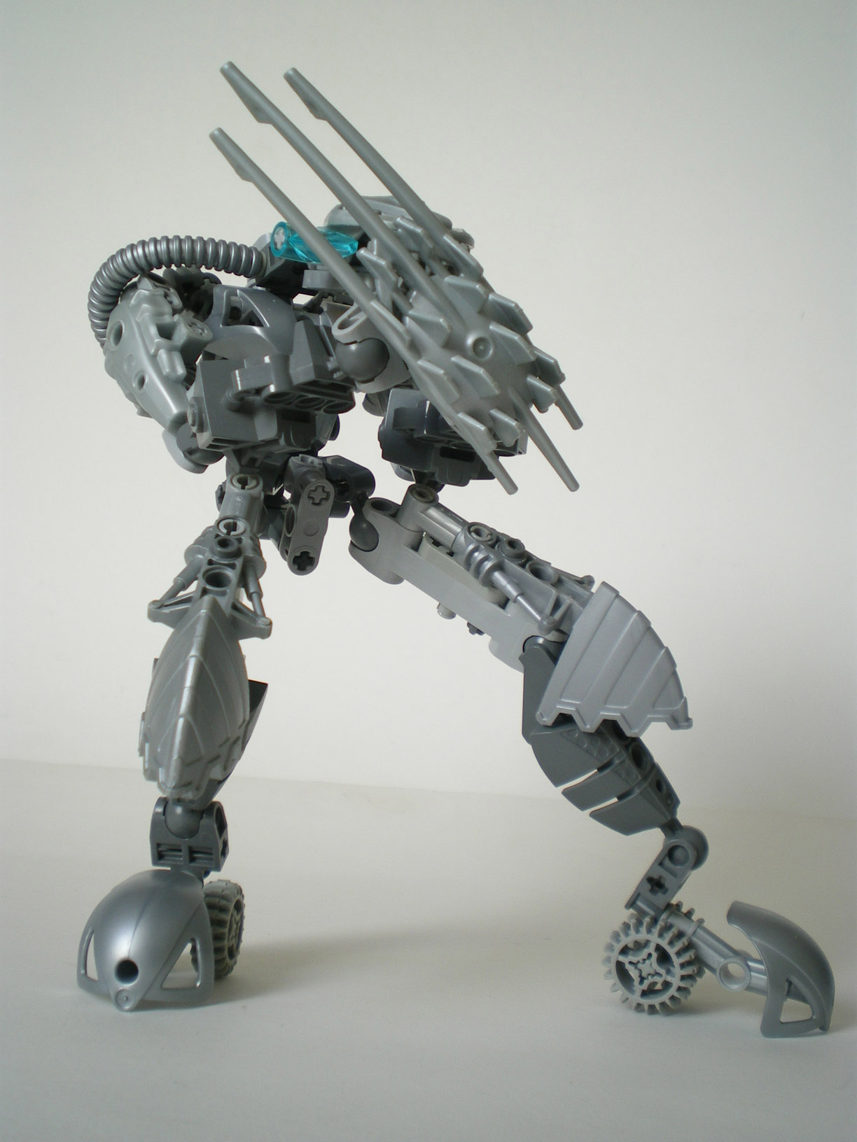 imgp6769.jpg