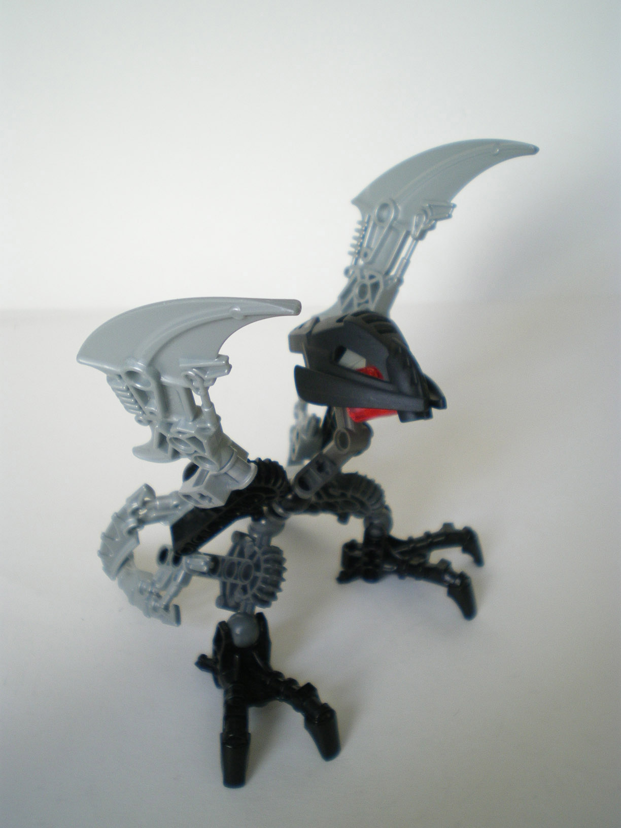 imgp0700.jpg