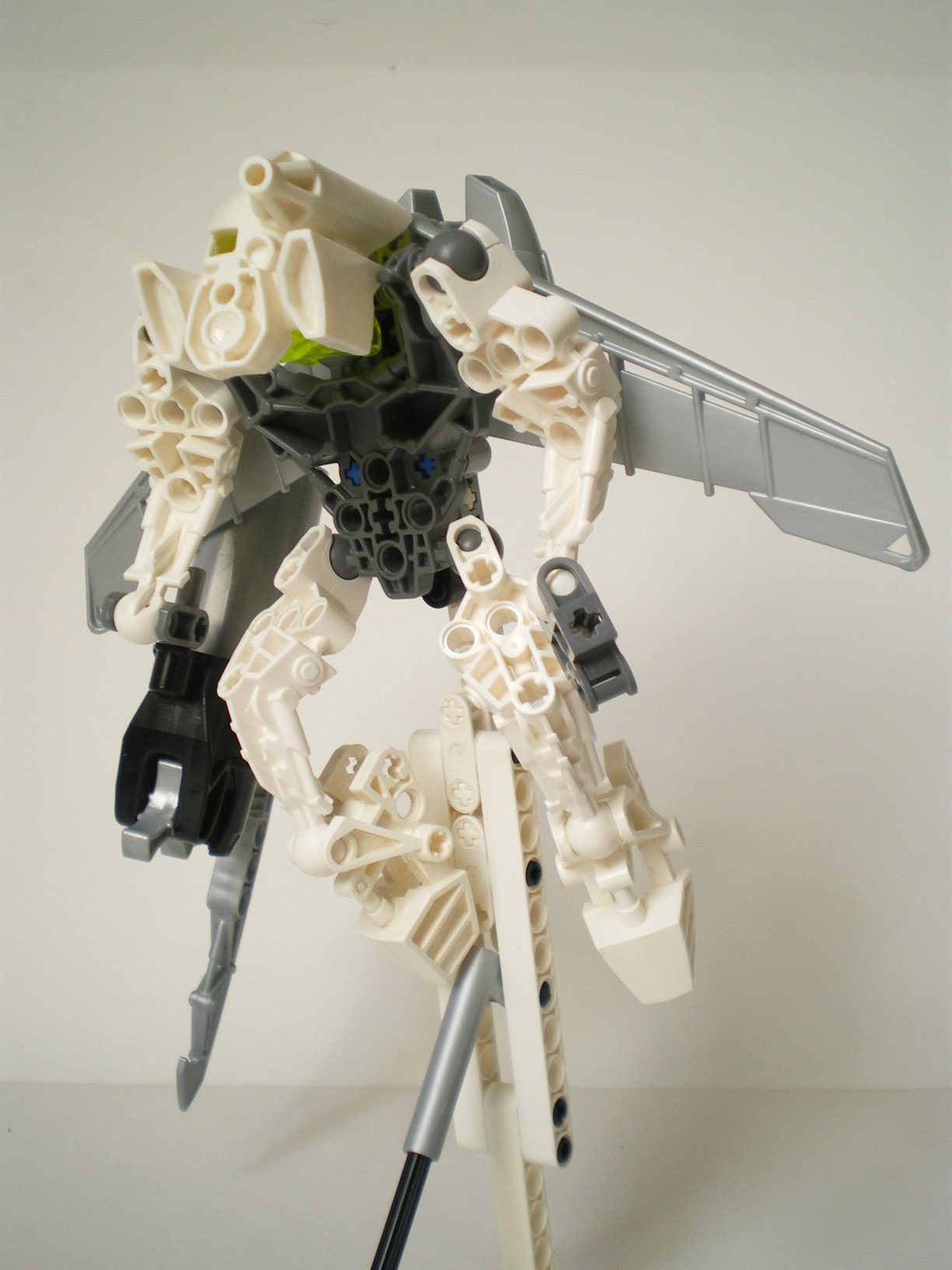 imgp0807.jpg