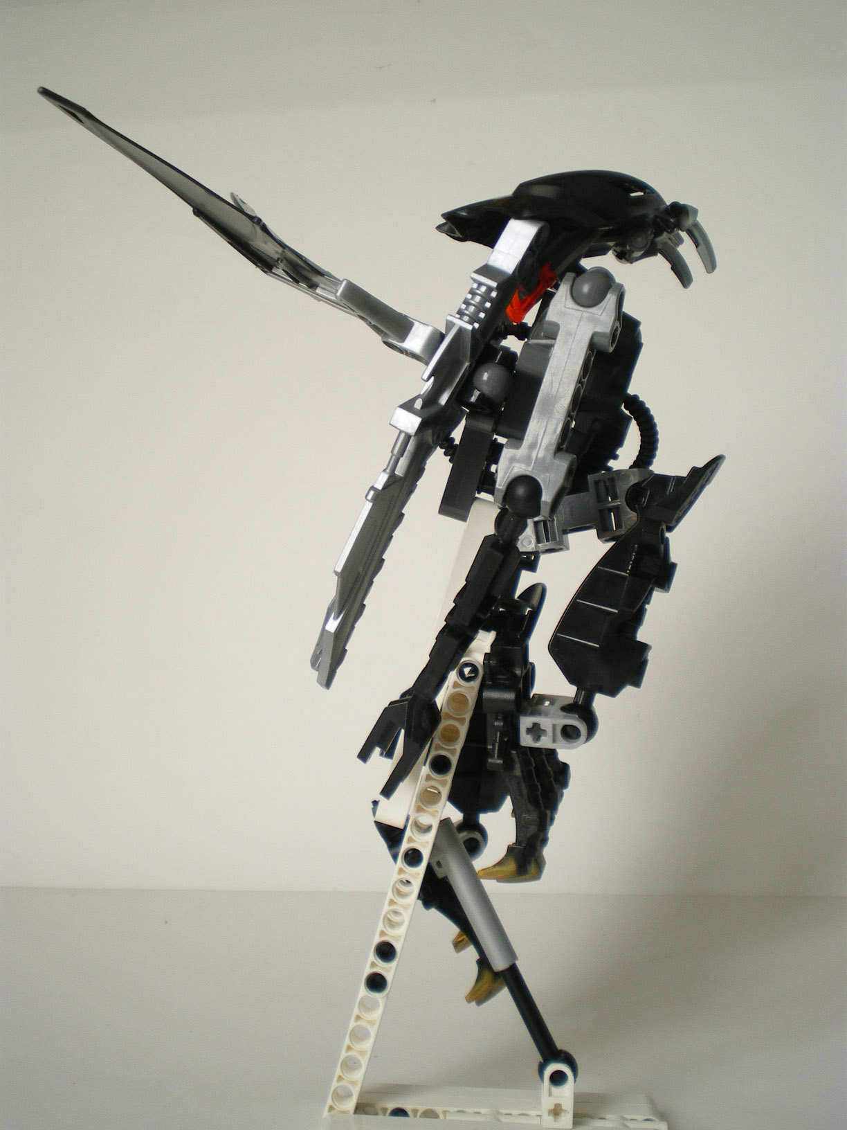 imgp0871.jpg