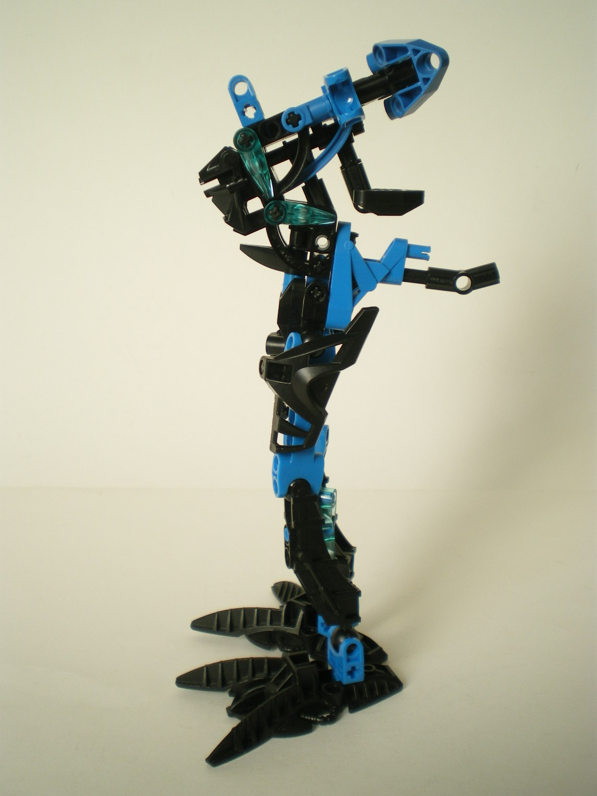 imgp3556.jpg