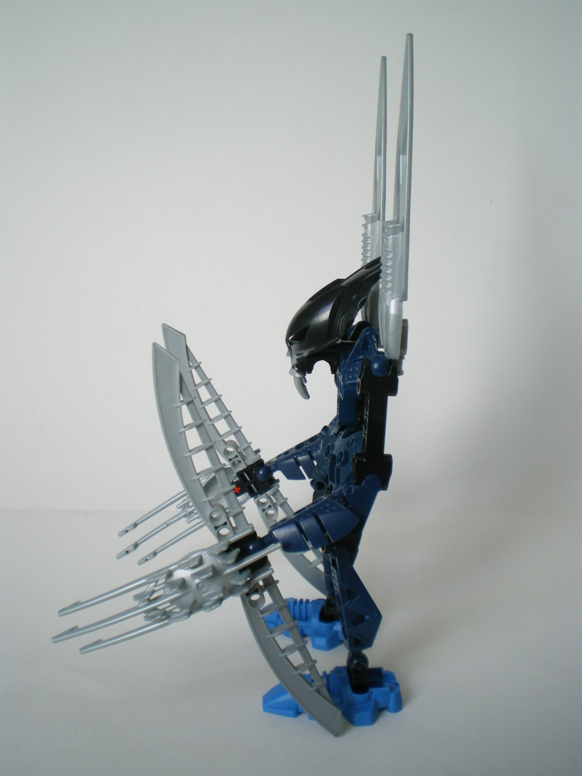 imgp3600.jpg