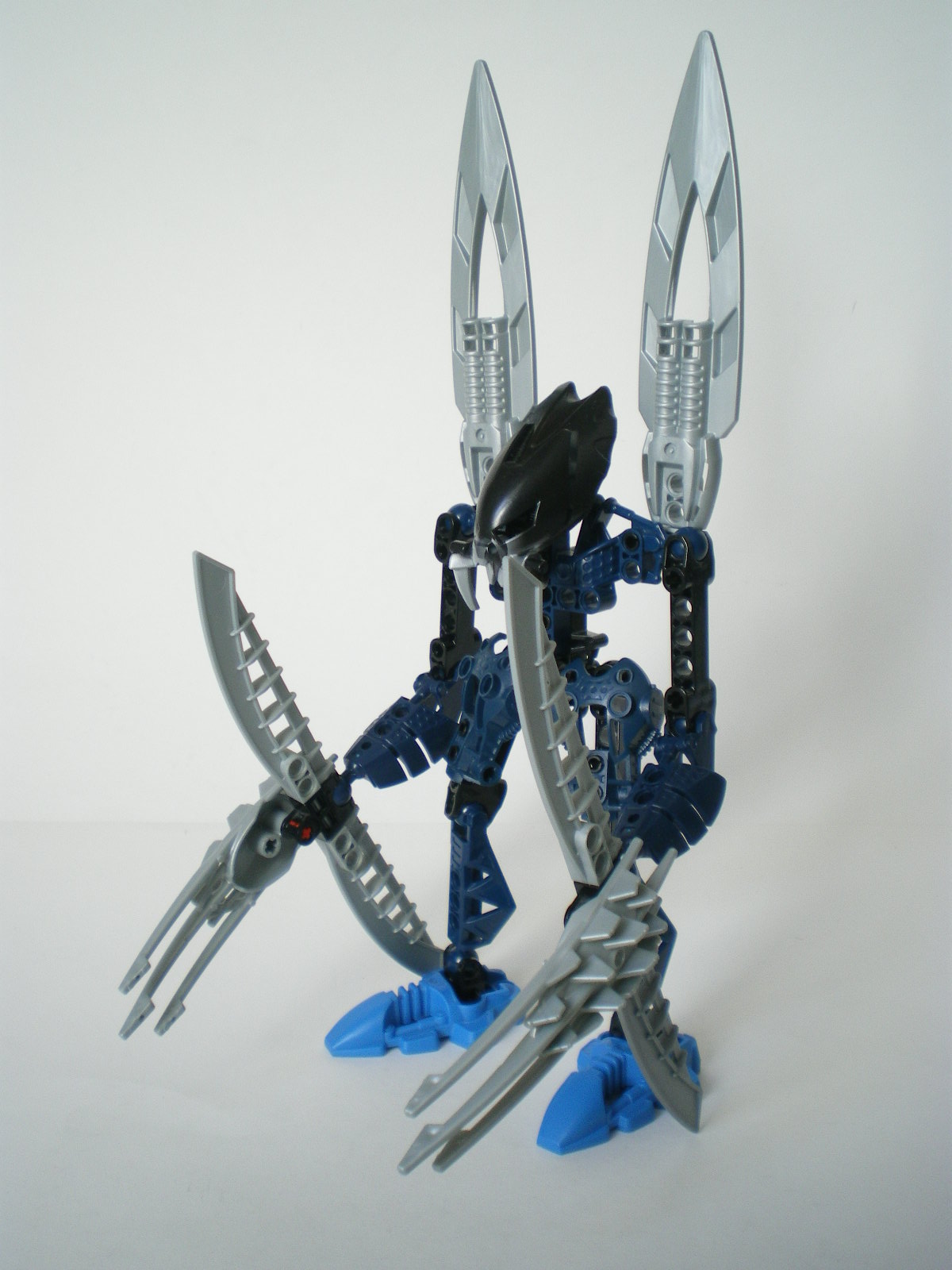 imgp3601.jpg