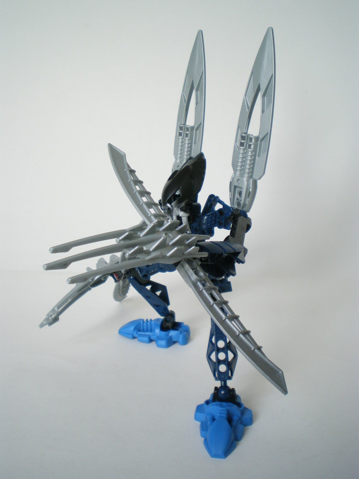 imgp3602.jpg