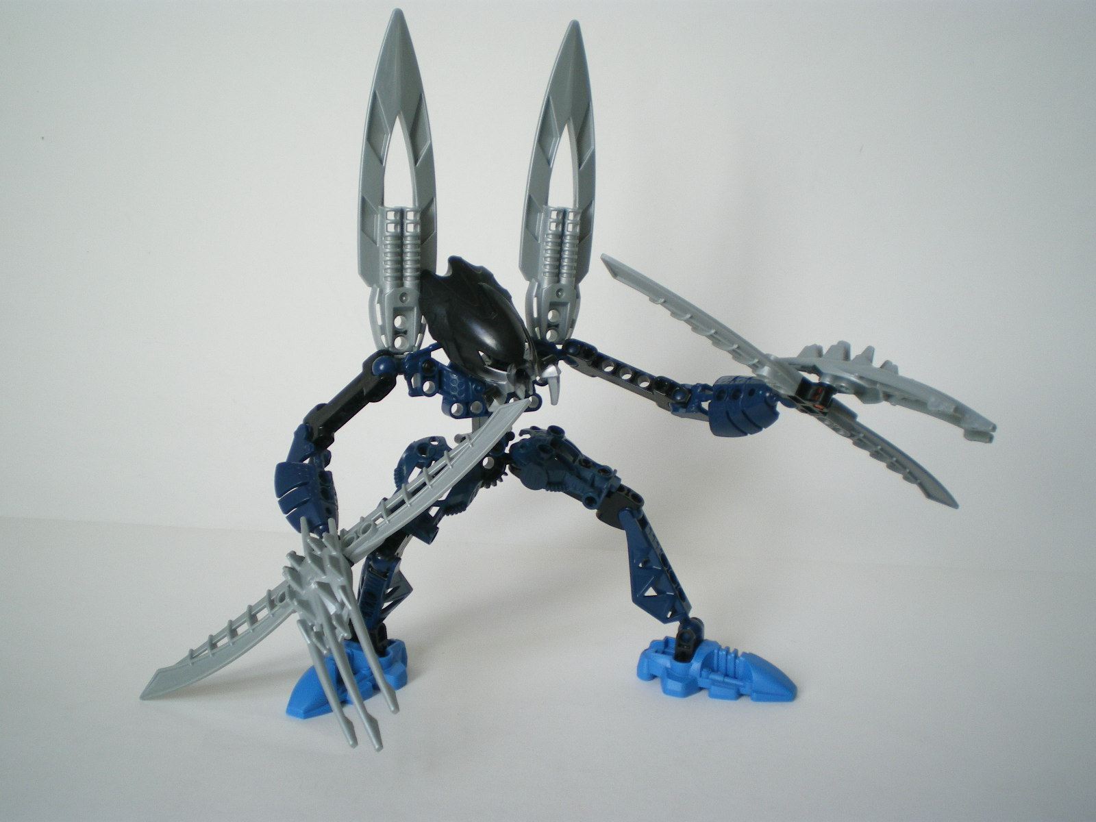 imgp3603.jpg