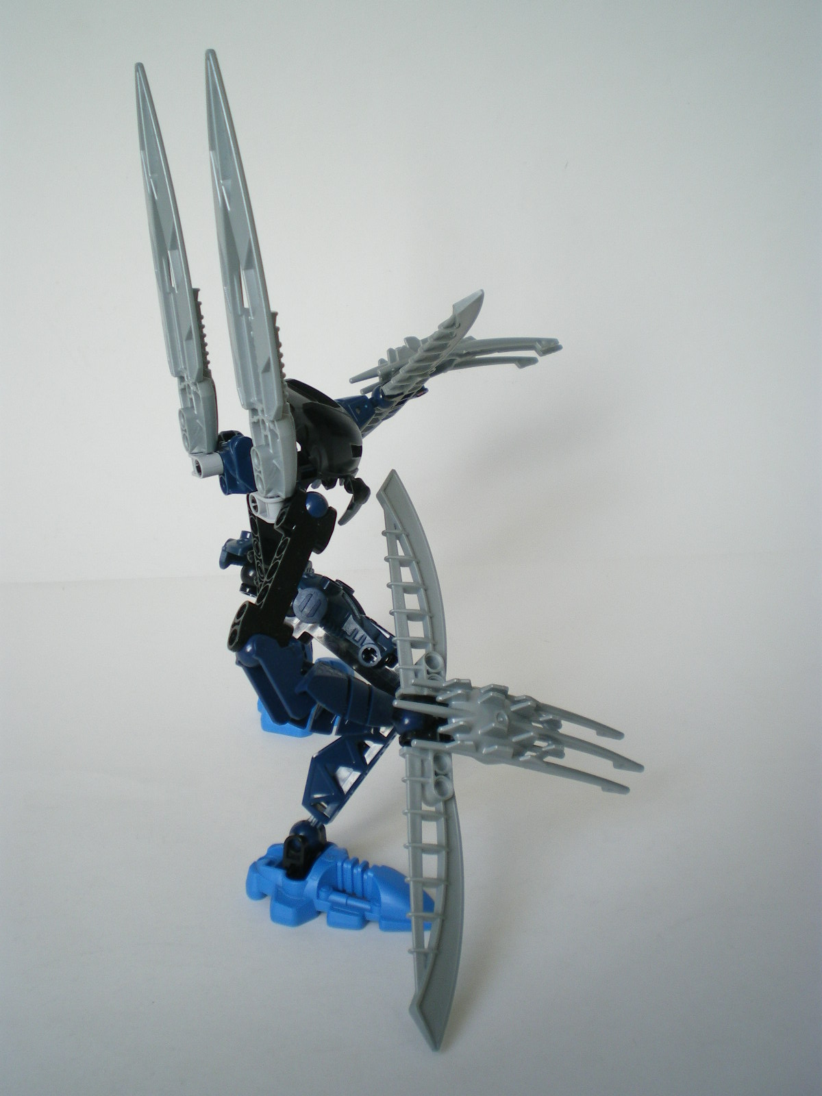 imgp3604.jpg
