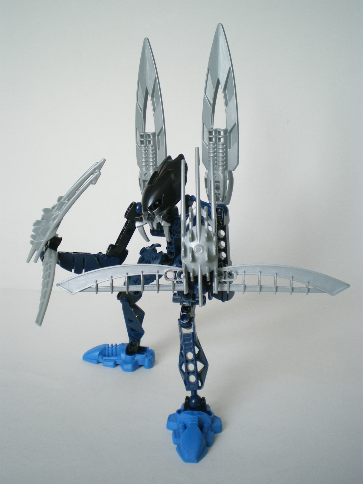 imgp3608.jpg