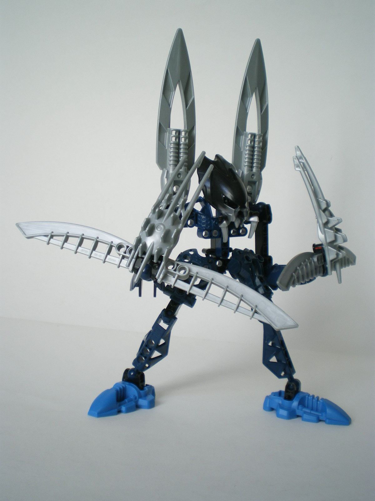 imgp3609.jpg