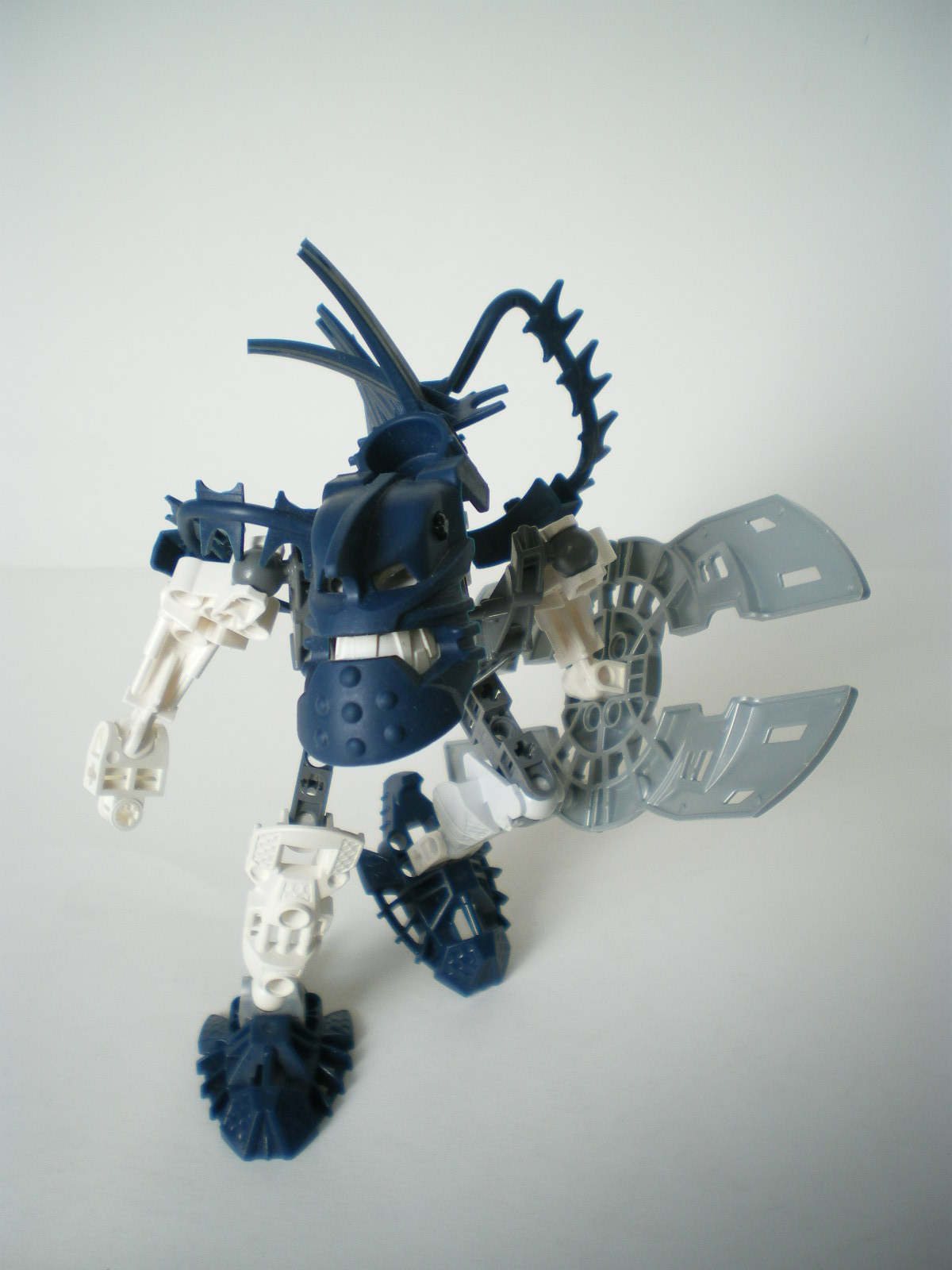 imgp3721.jpg