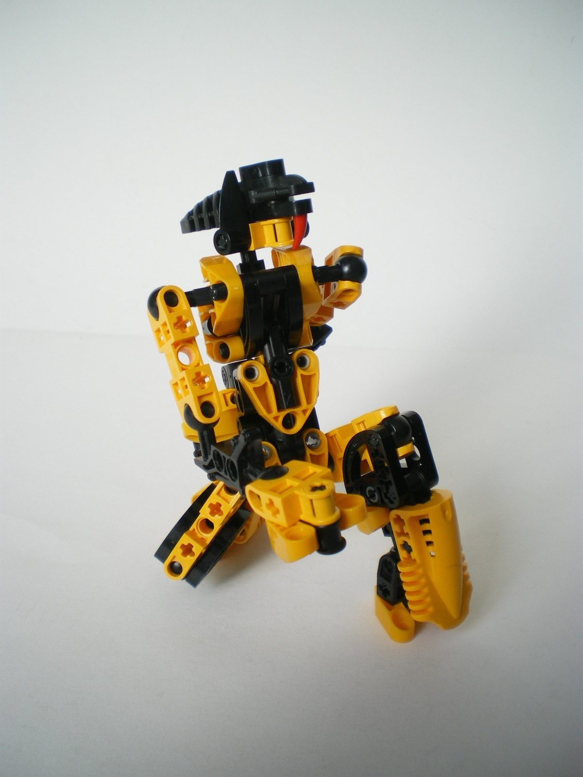 imgp3866.jpg