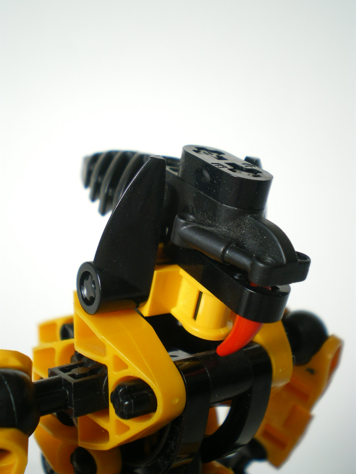 imgp3886.jpg